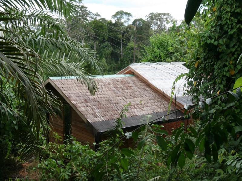 Paganakan Dii Tropical Retreat Sepilok Exterior foto
