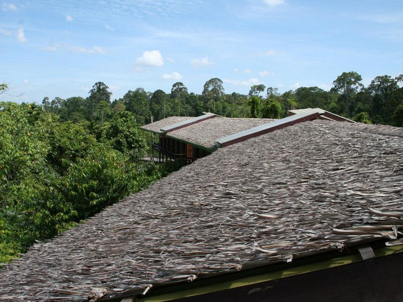 Paganakan Dii Tropical Retreat Sepilok Quarto foto