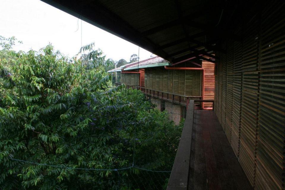 Paganakan Dii Tropical Retreat Sepilok Exterior foto